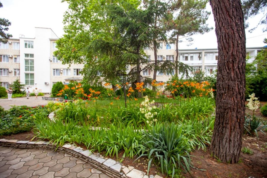 Тенистый парк санатория «Русь» в Анапе площадью 2,7 гектара